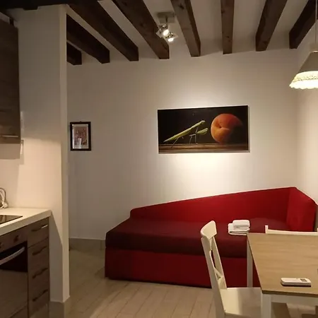 公寓 Ca Del Gambero Canal View *